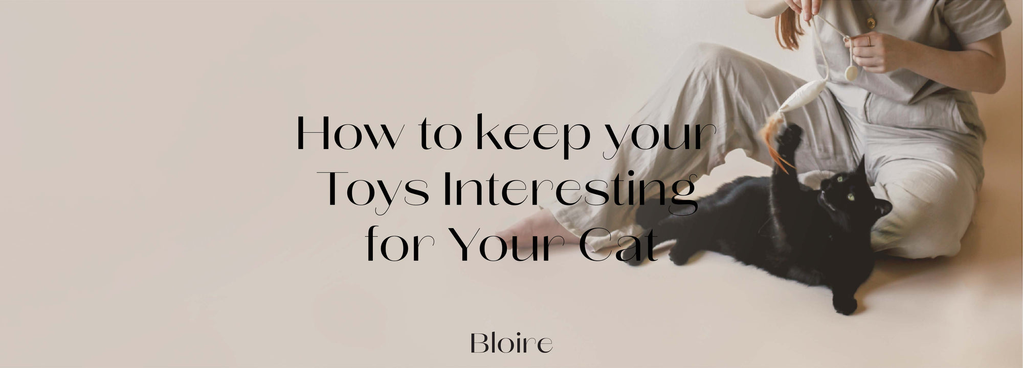 Toys Interesting for Your Cat