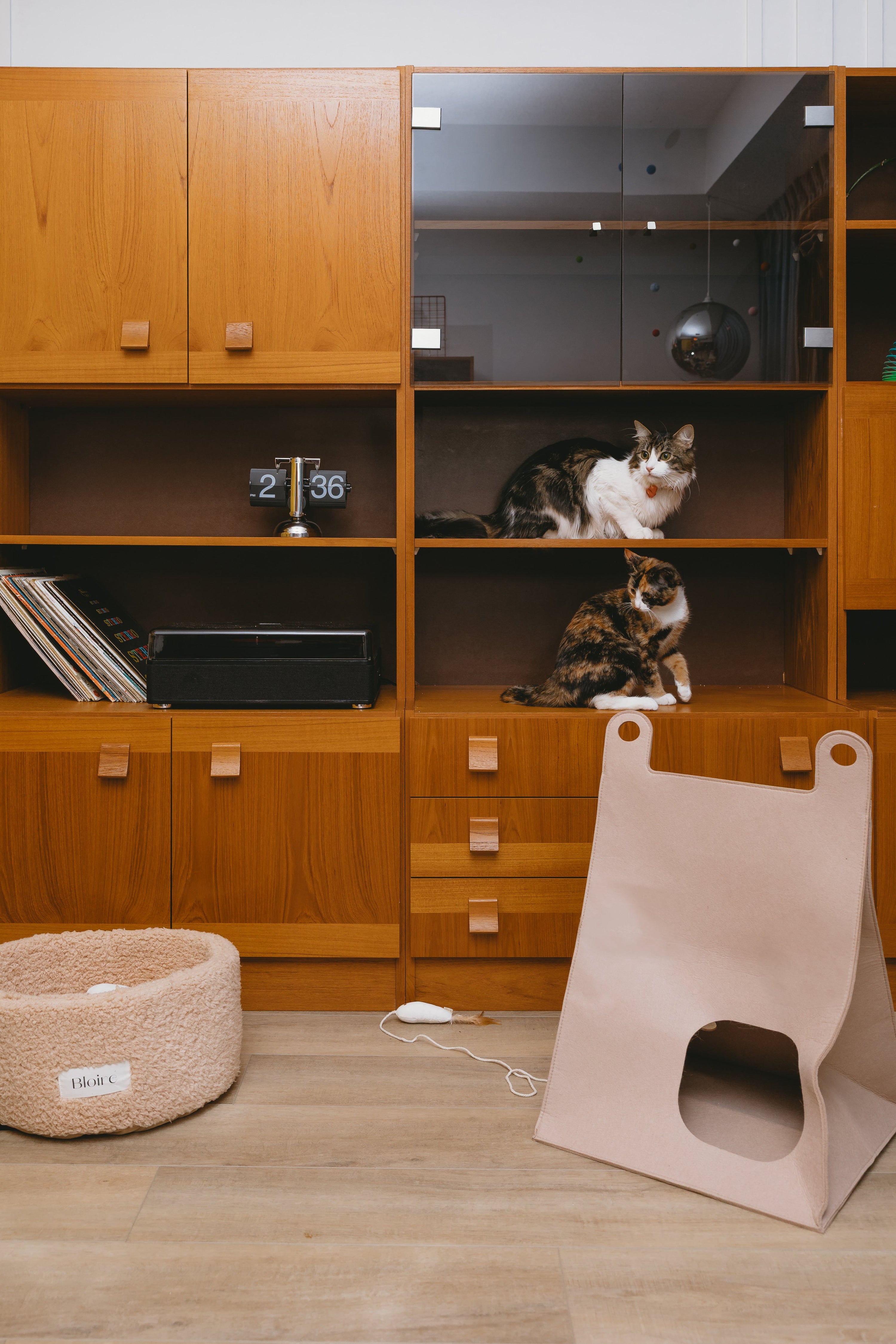 All Cats Essentials