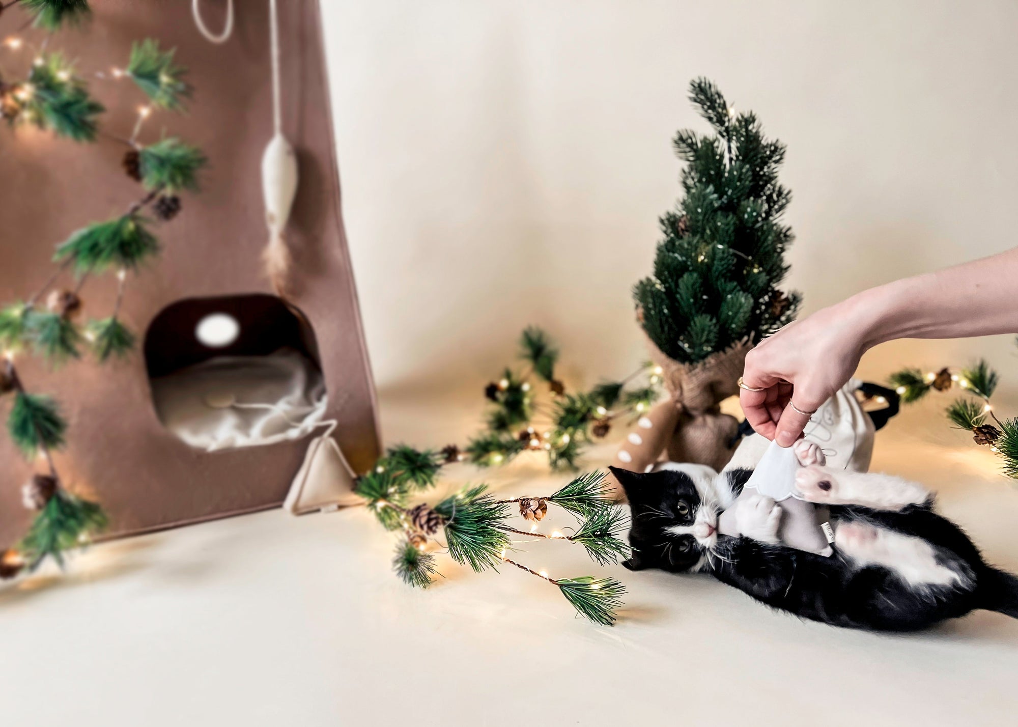 Jouet pour chat montagne enneigée