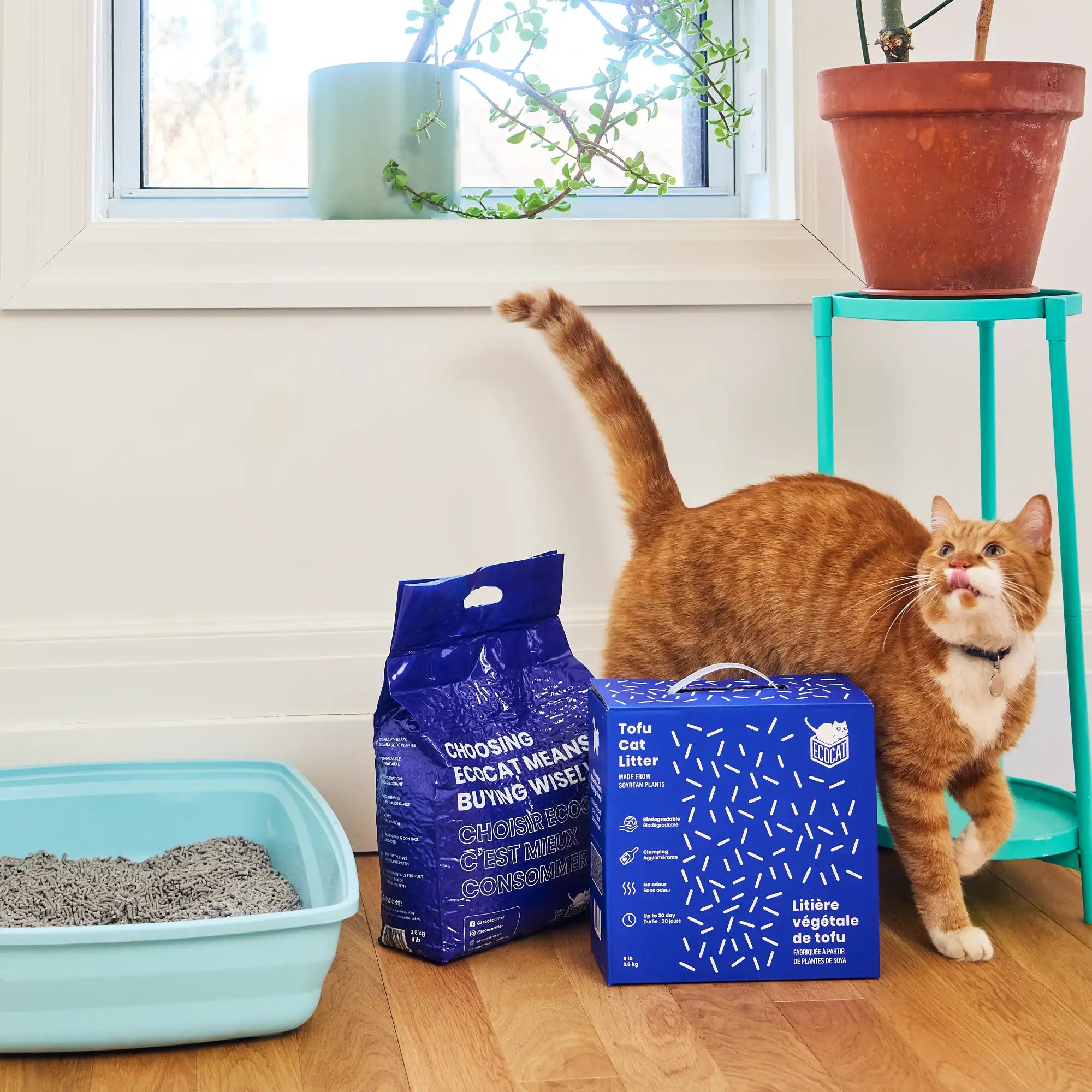 Litière végétale sans poussière