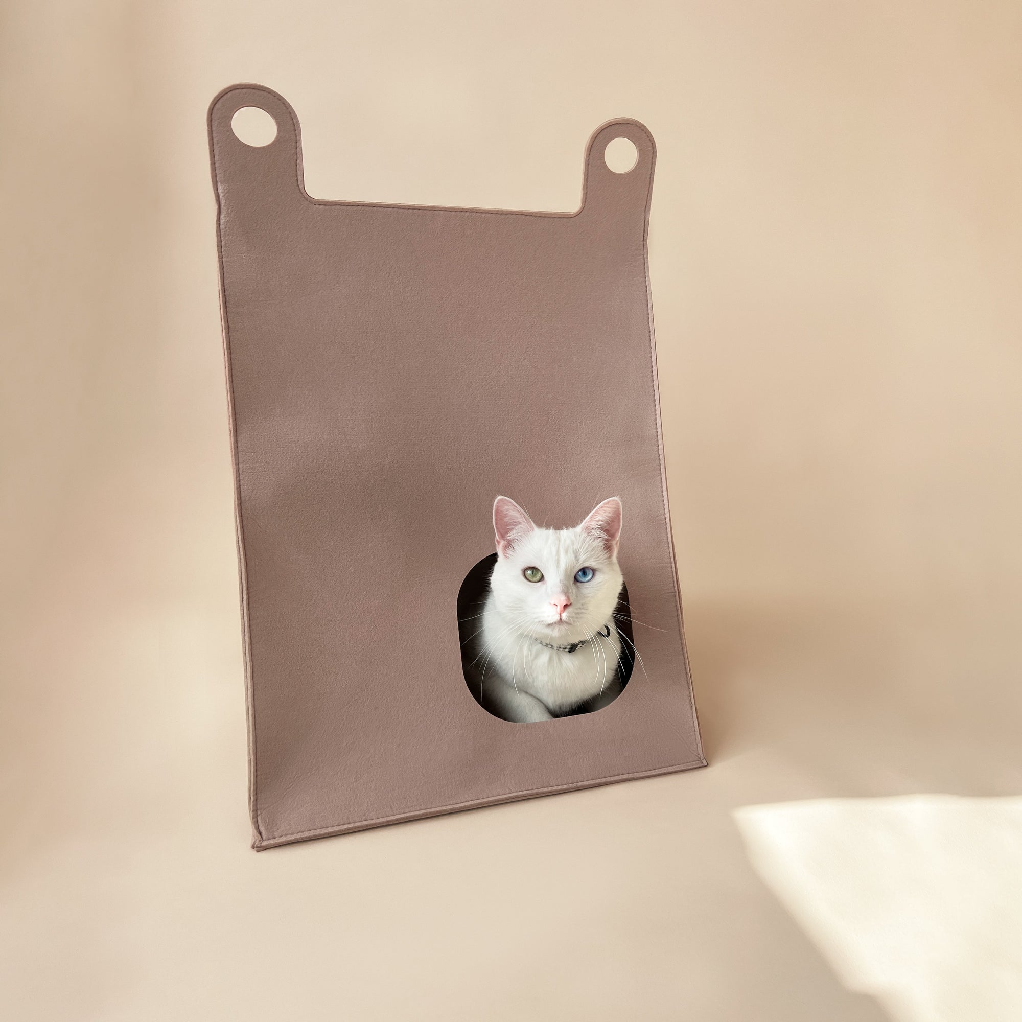 Maison pour Chat