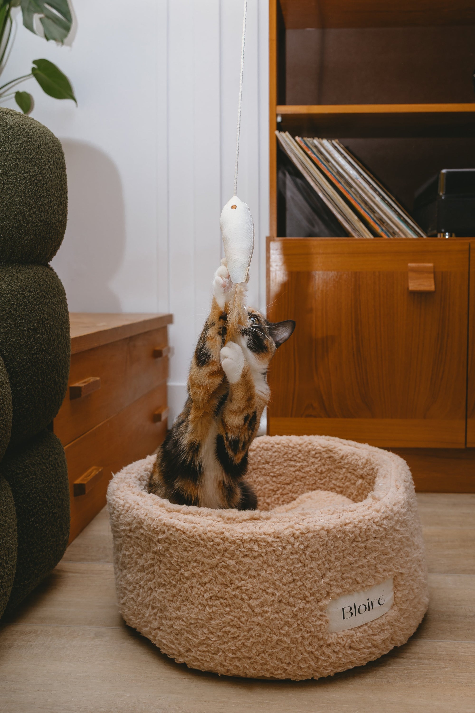 Jouet pour chat poisson doré