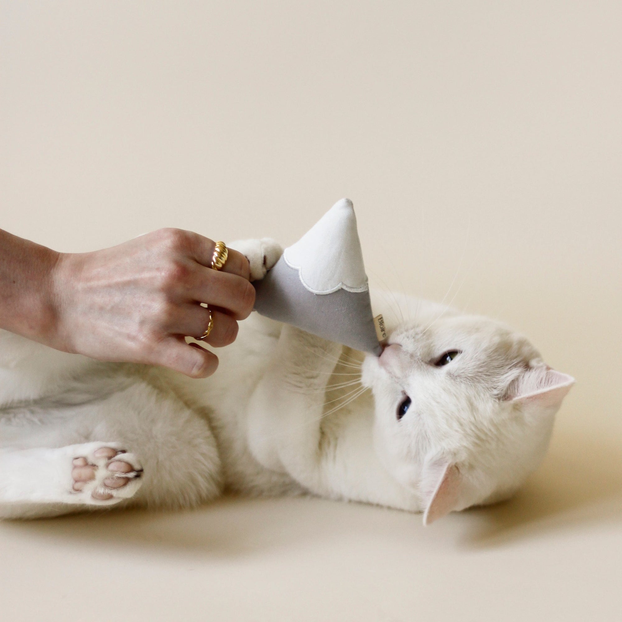White cat playing with Cat Toy Snowy Mountain | Bloire