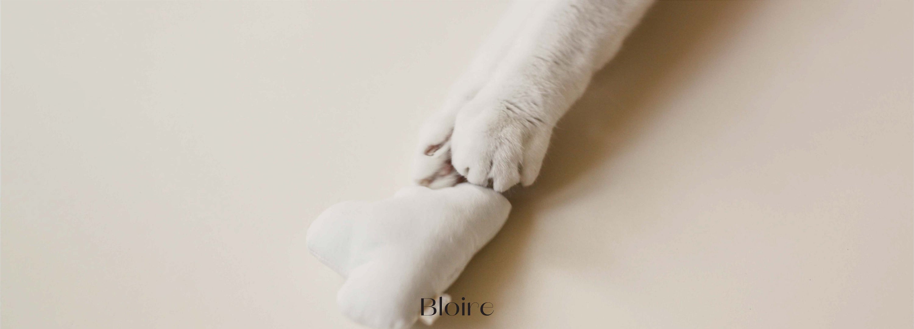 Cat paws with toy