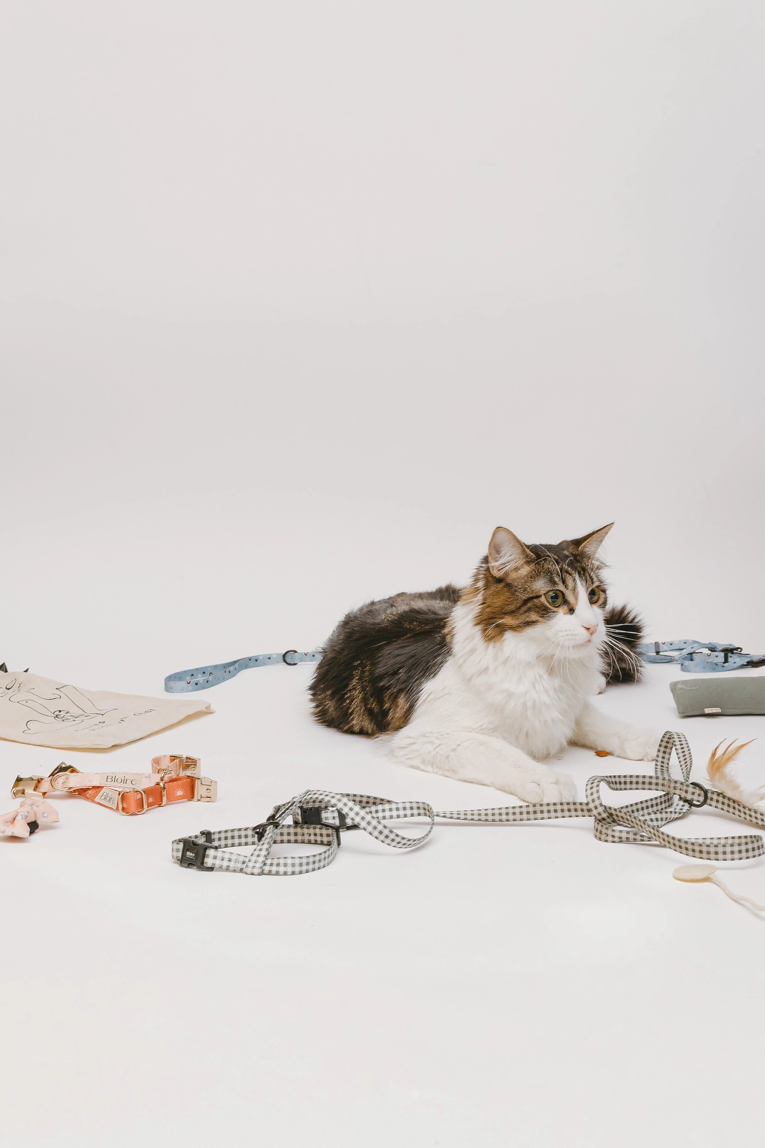 Cat Walk Kits – Harness & Leash Sets