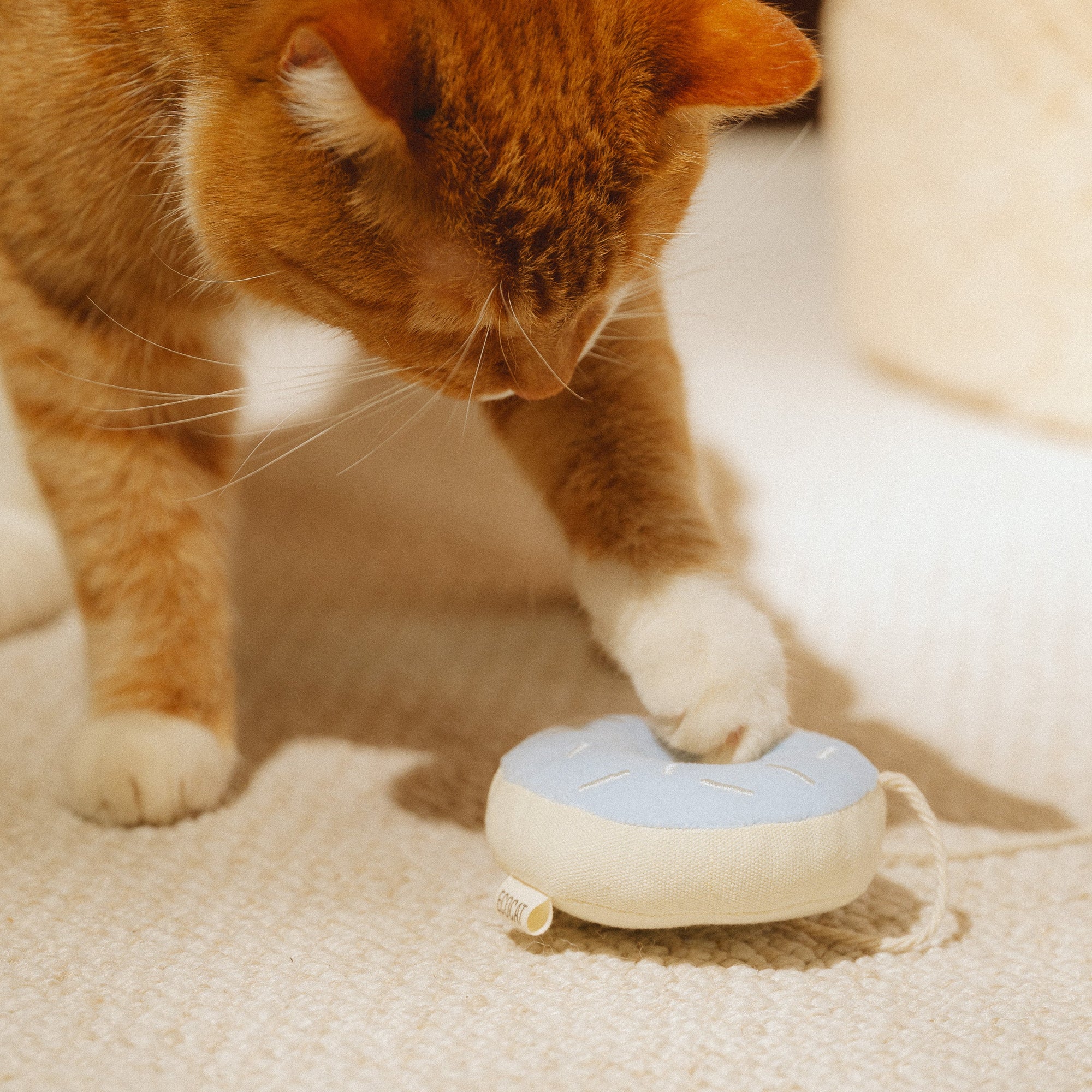 Kiko & cat toy with cat nip