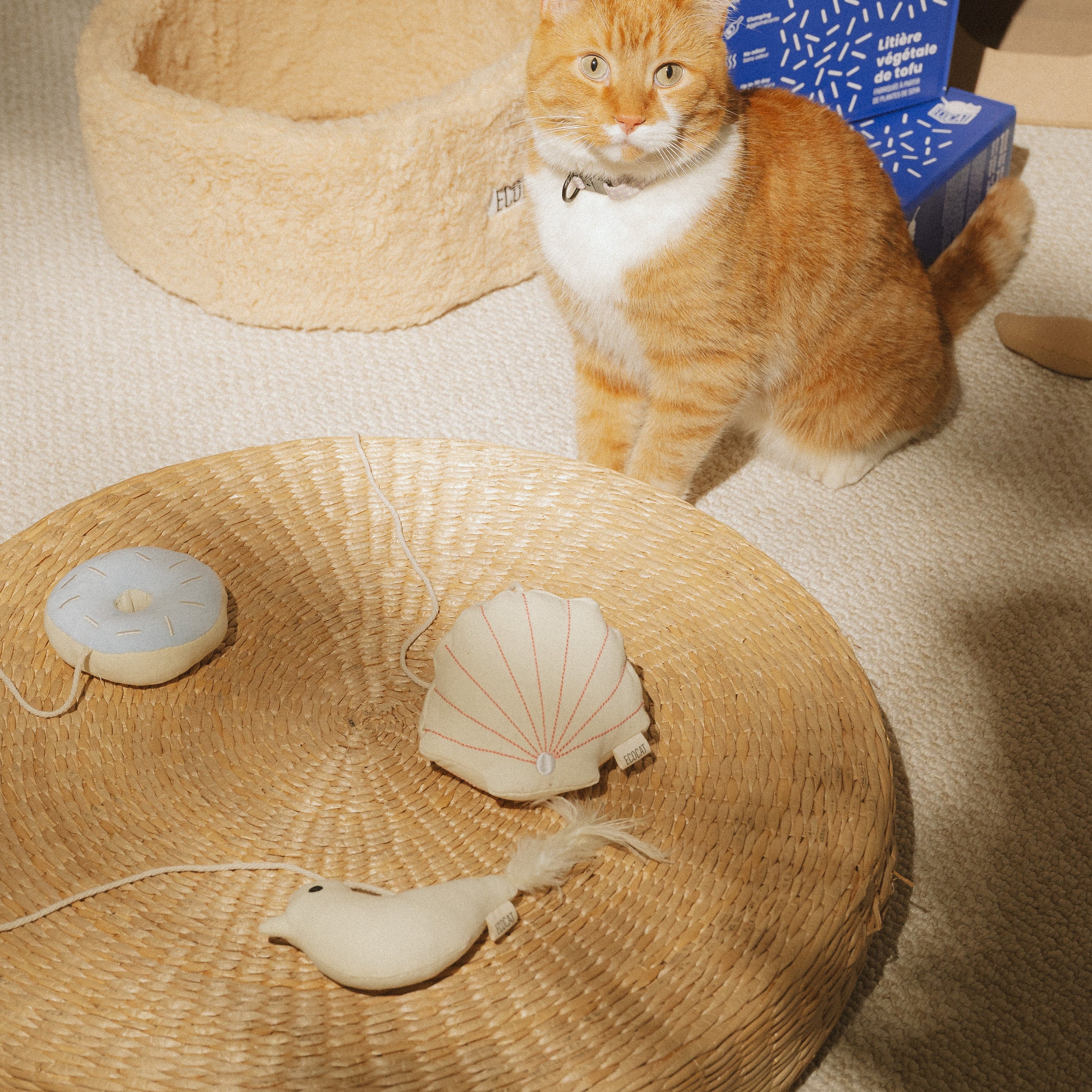 Ecocat cat toys bundle