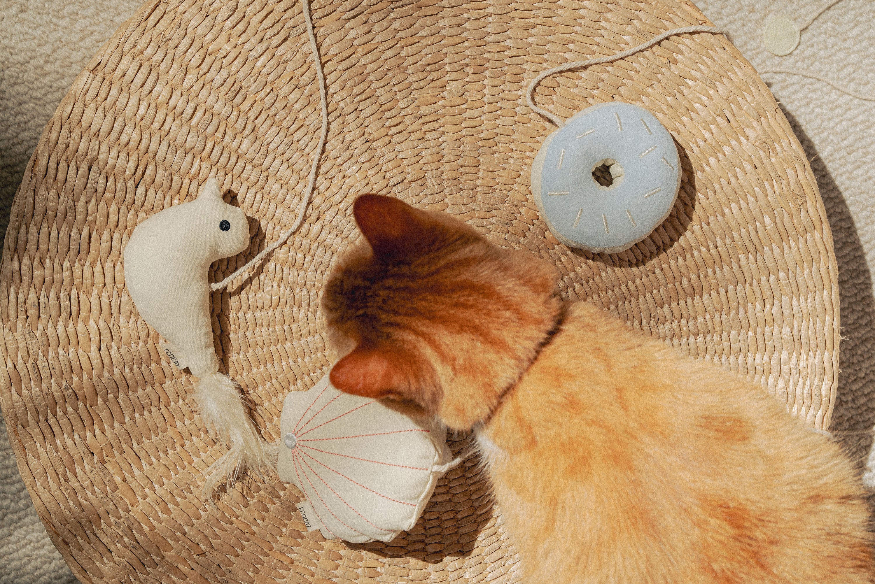 Cat toys collection