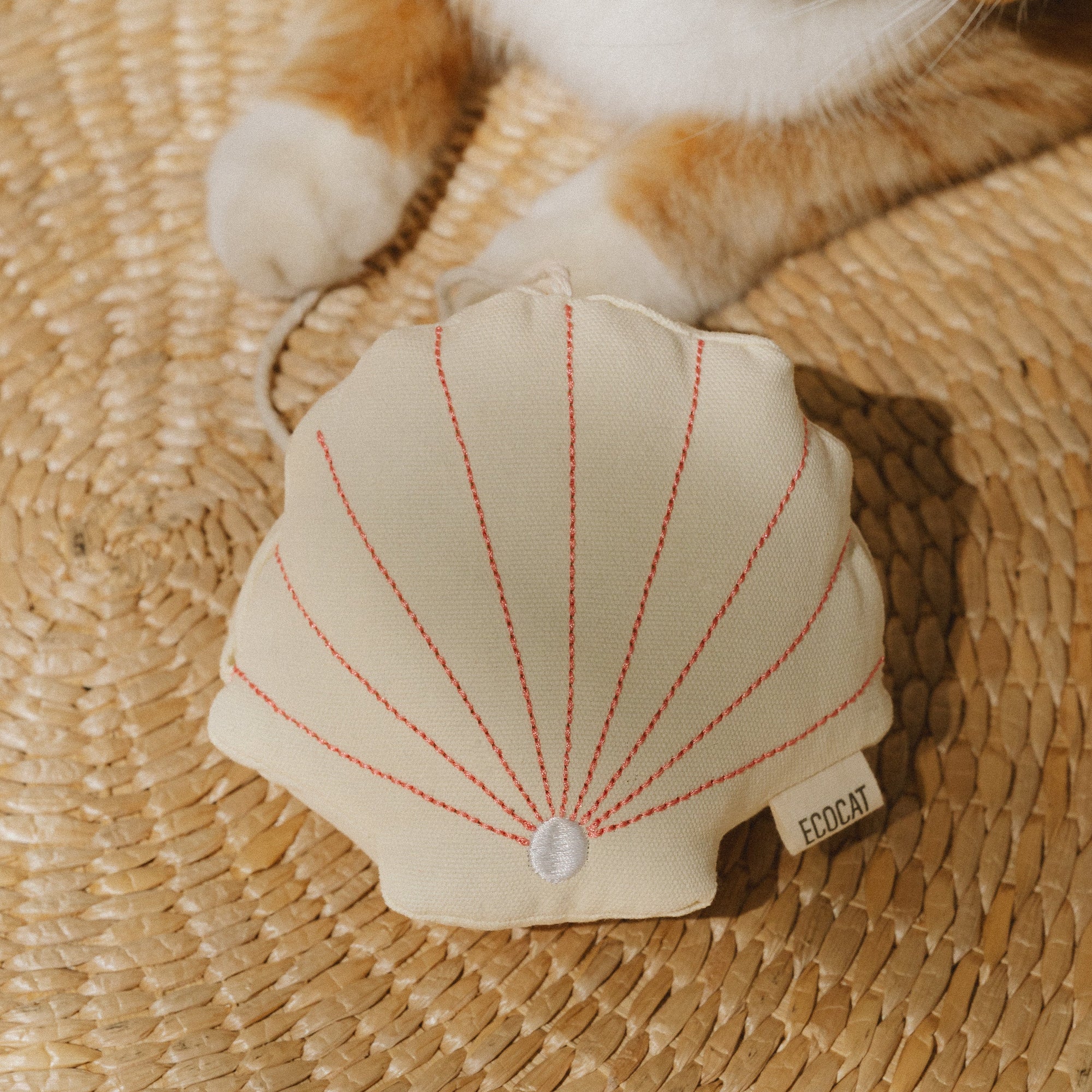 Ecocat seashell