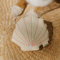 🎁 Cat Toy Seashell (100% off)
