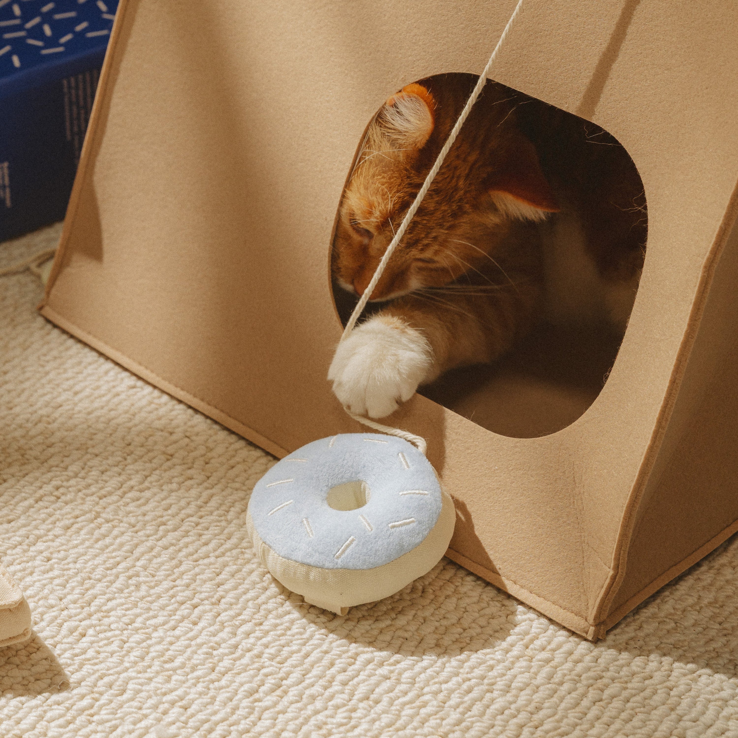 Ecocat cat playing with donut