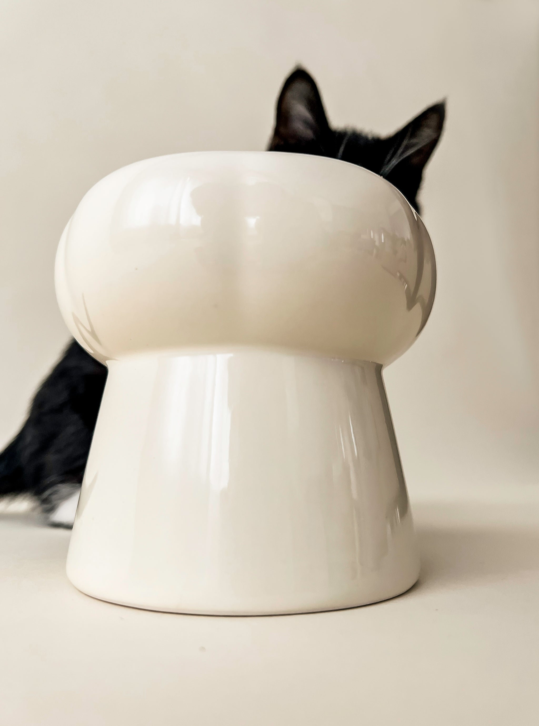 Bol Pour Chat Crème
