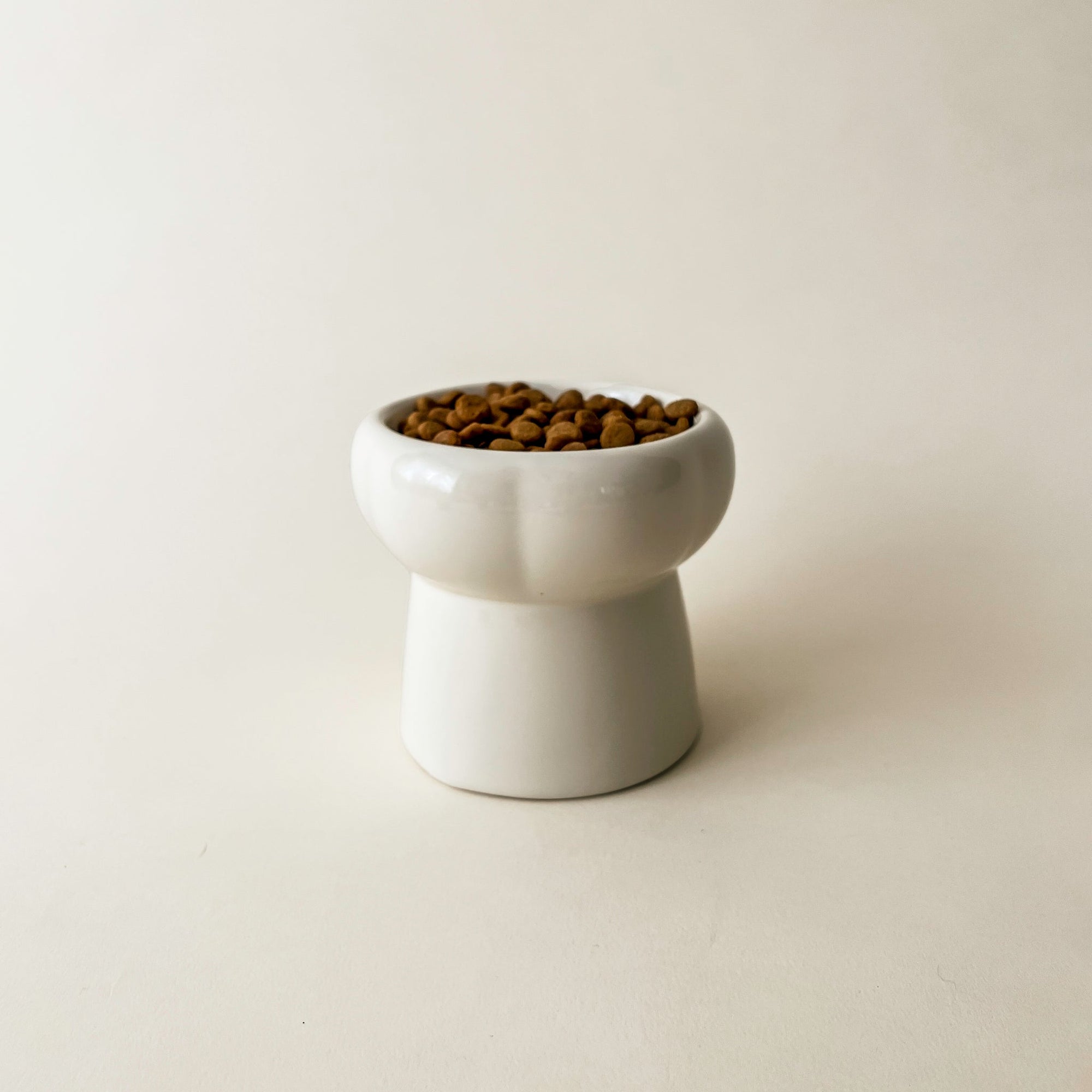 Bol Pour Chat Crème