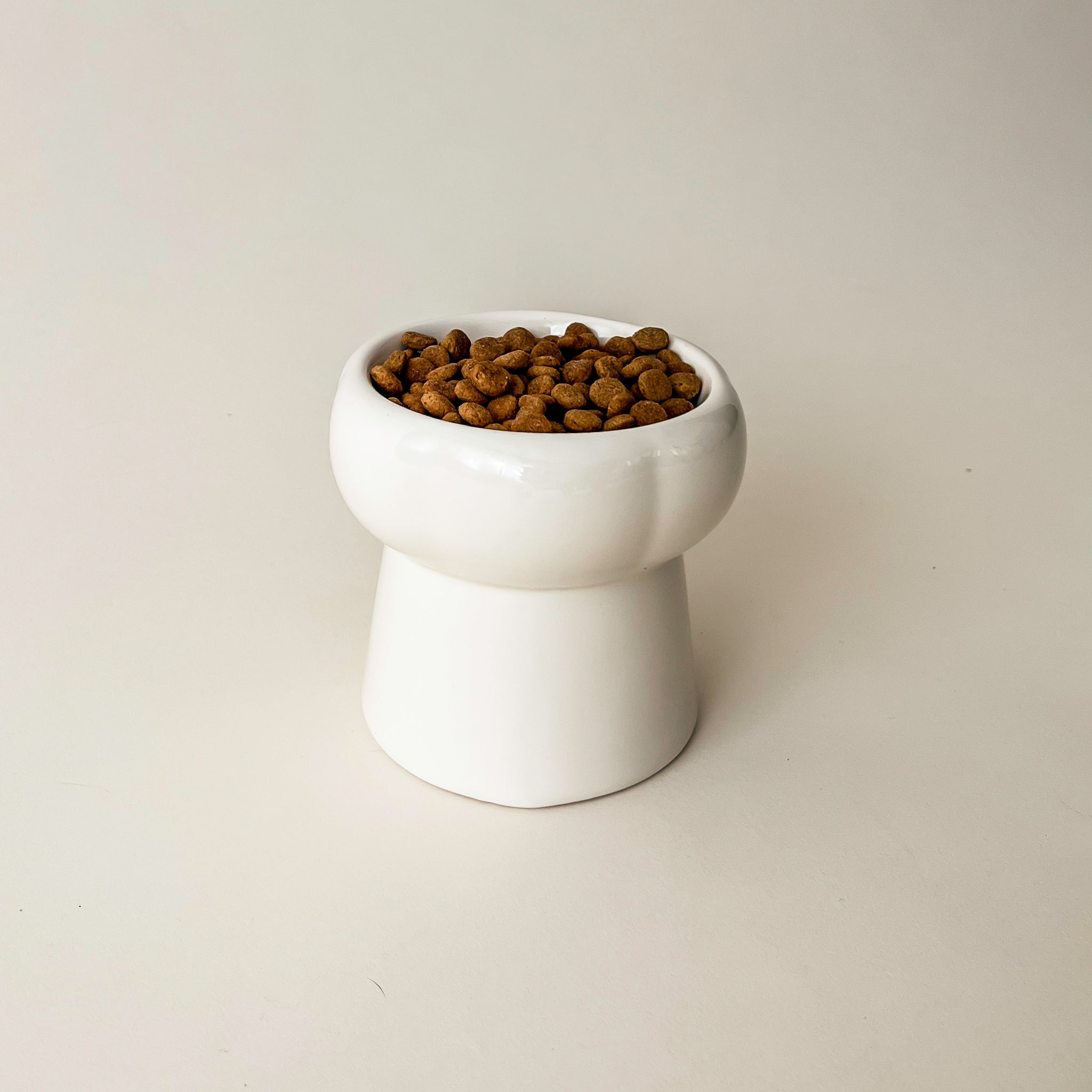 Bol Pour Chat Crème