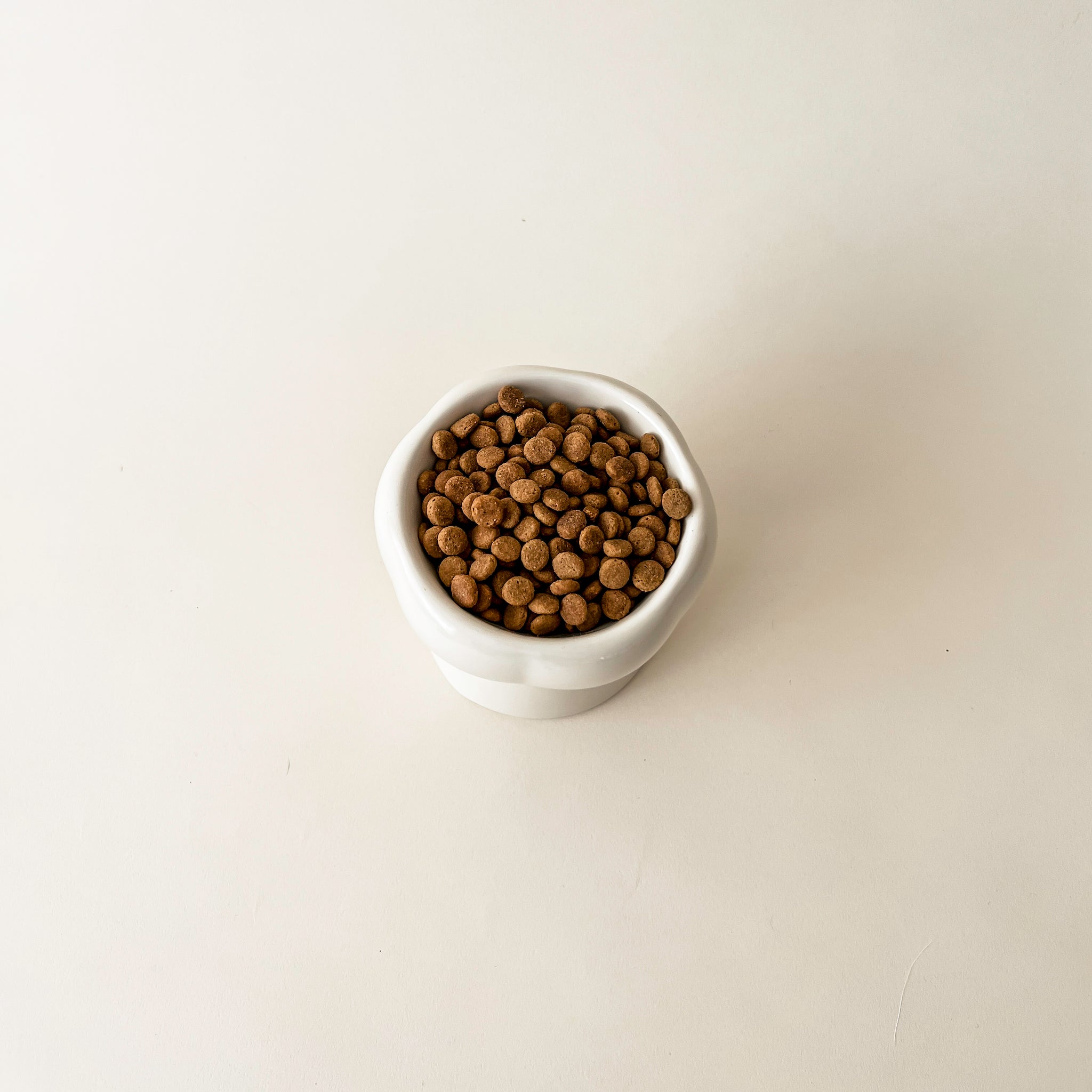 Bol Pour Chat Crème