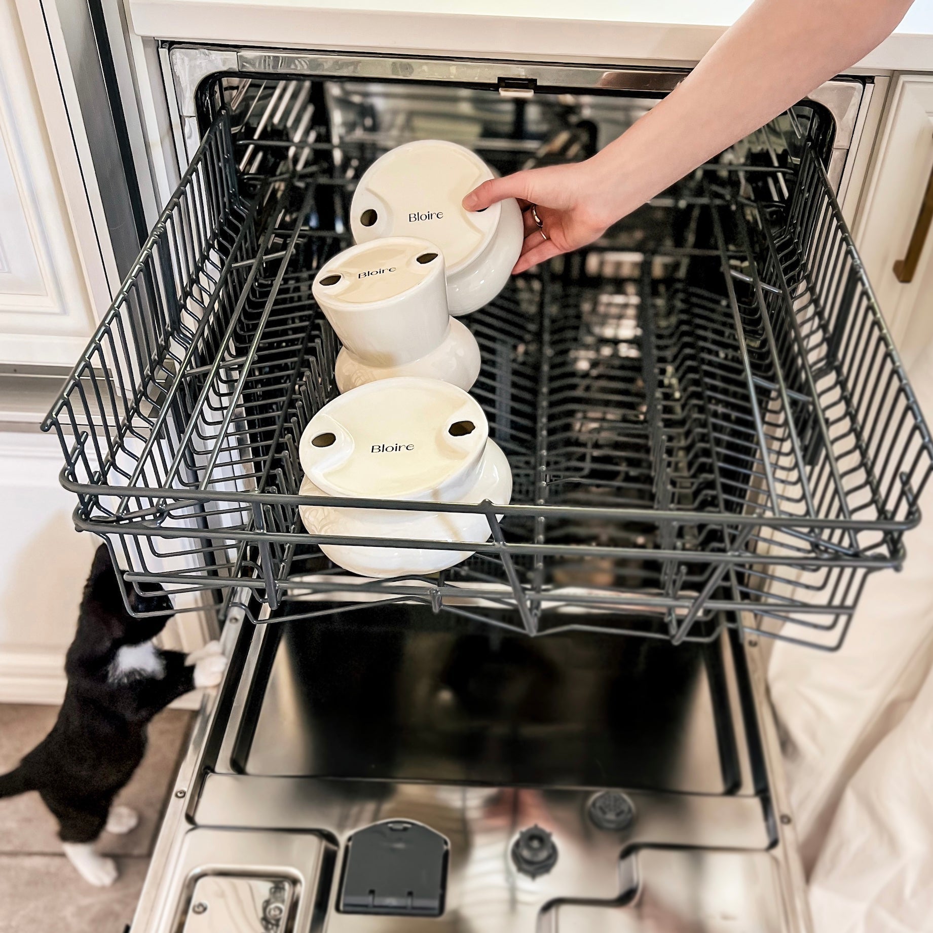 How to wash Creamy Bowls for Cat