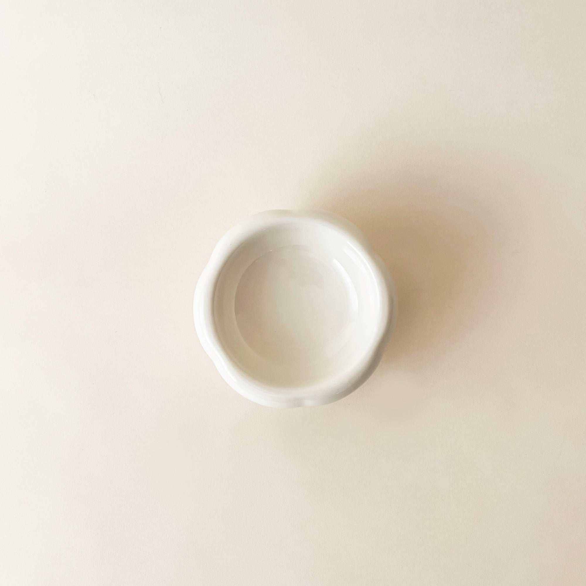 Bloire White Large Bowl for Cat