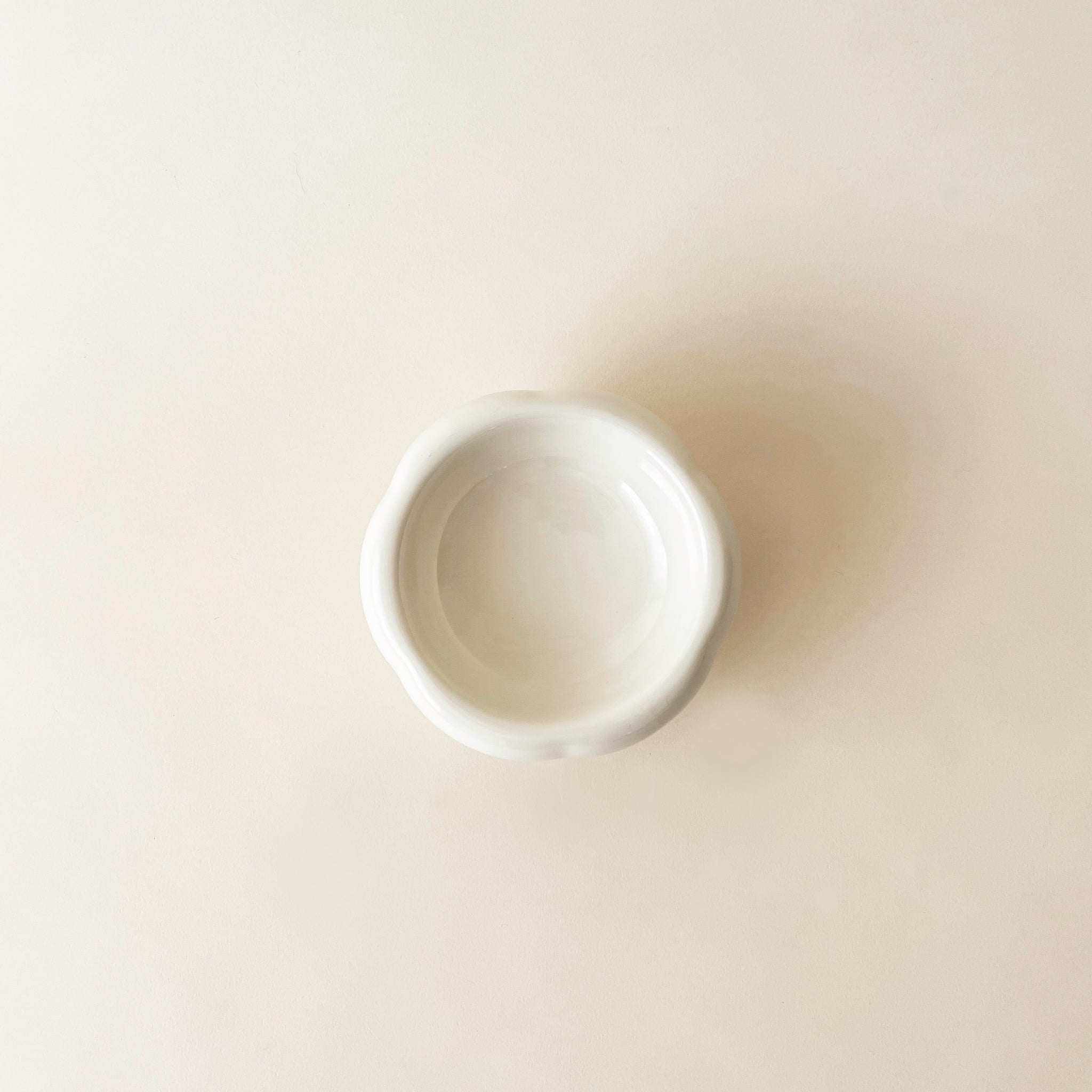 Bloire White Large Bowl for Cat