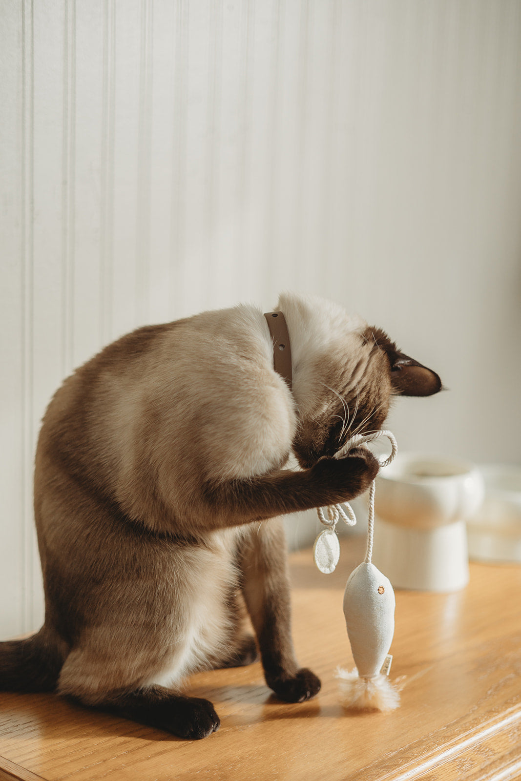 Cat toy with cat nip from Ecocat