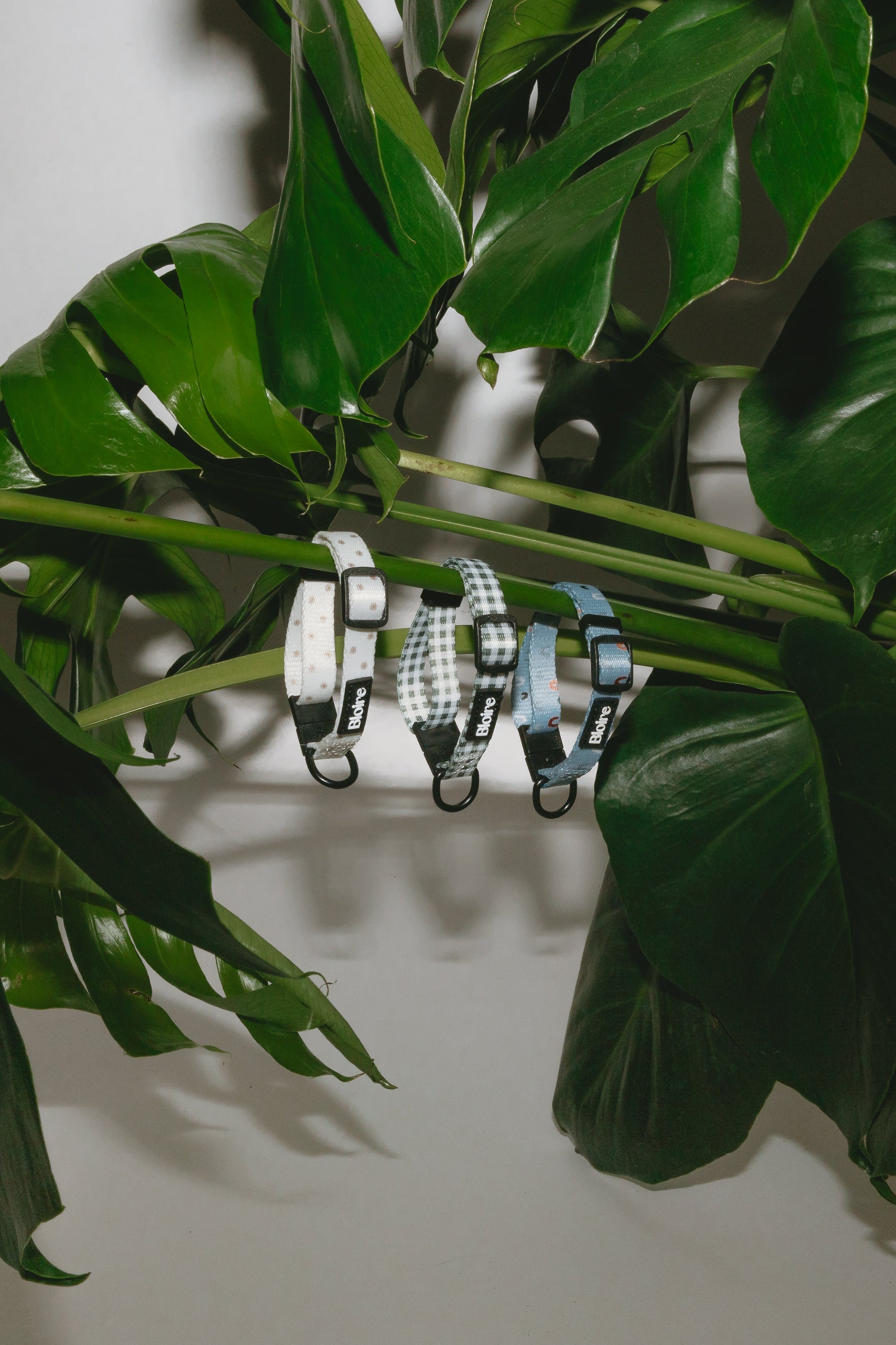Collar Flower Power
