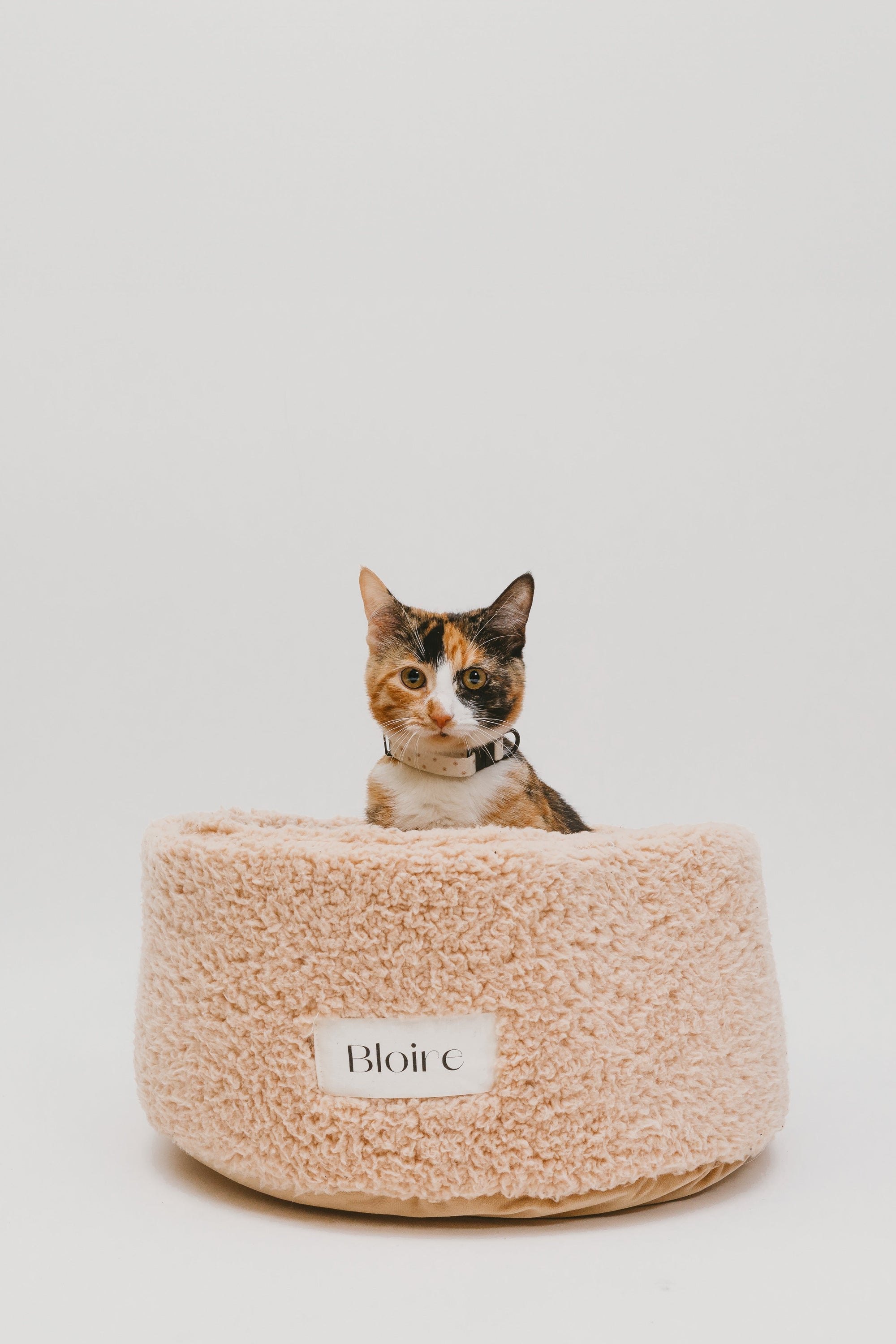 Lit pour chat