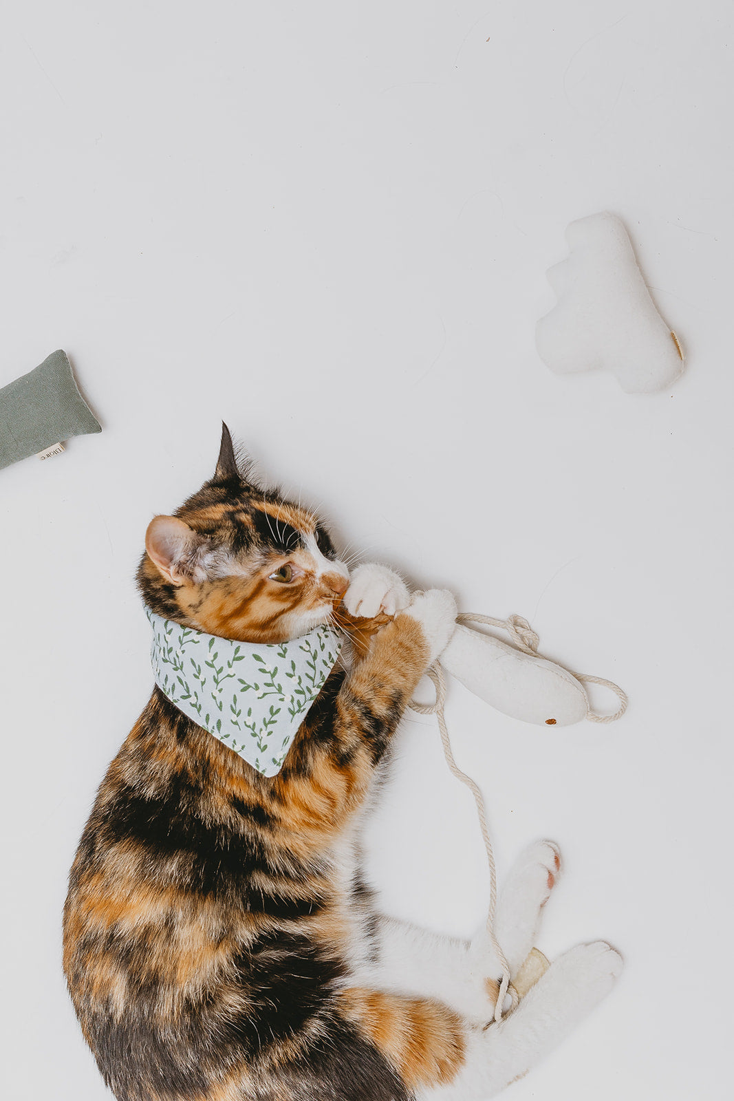 Cat toy golden fish | Ecocat