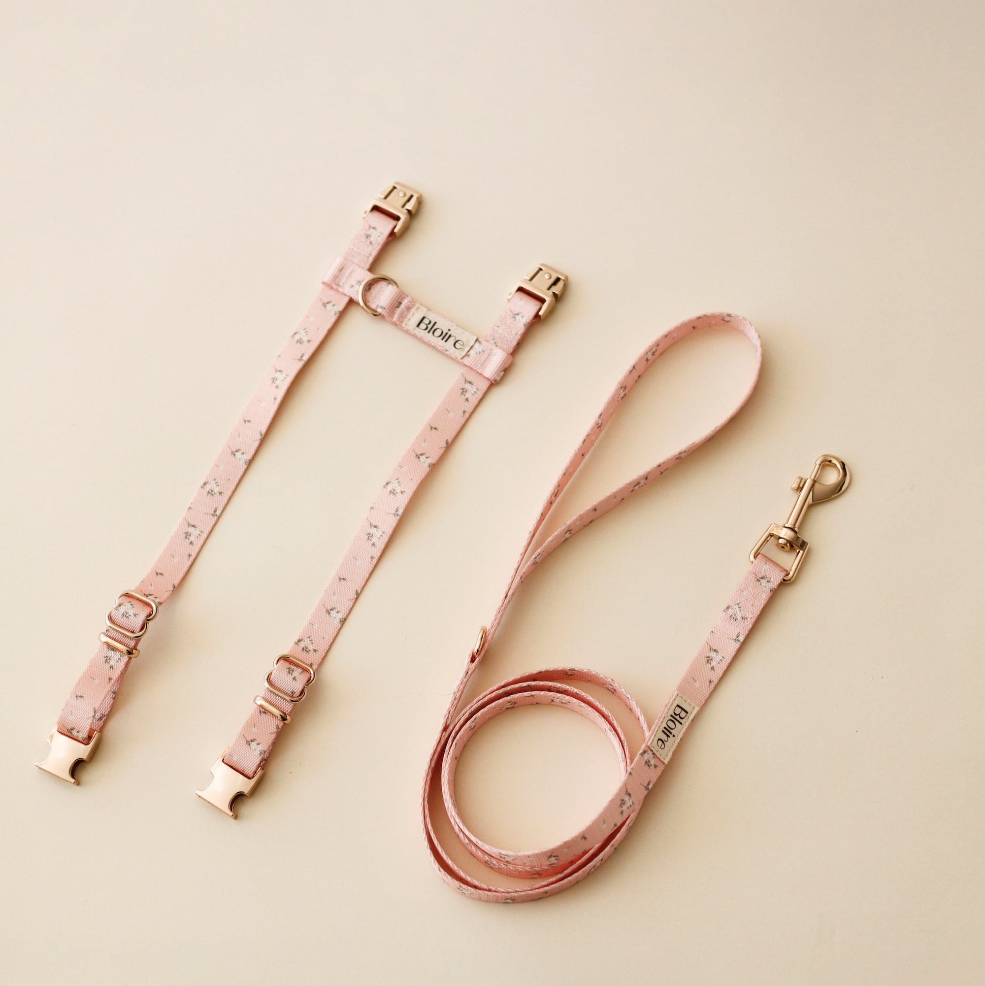 Bloire | Harness and Leash Walk Kit Meadow for Cat