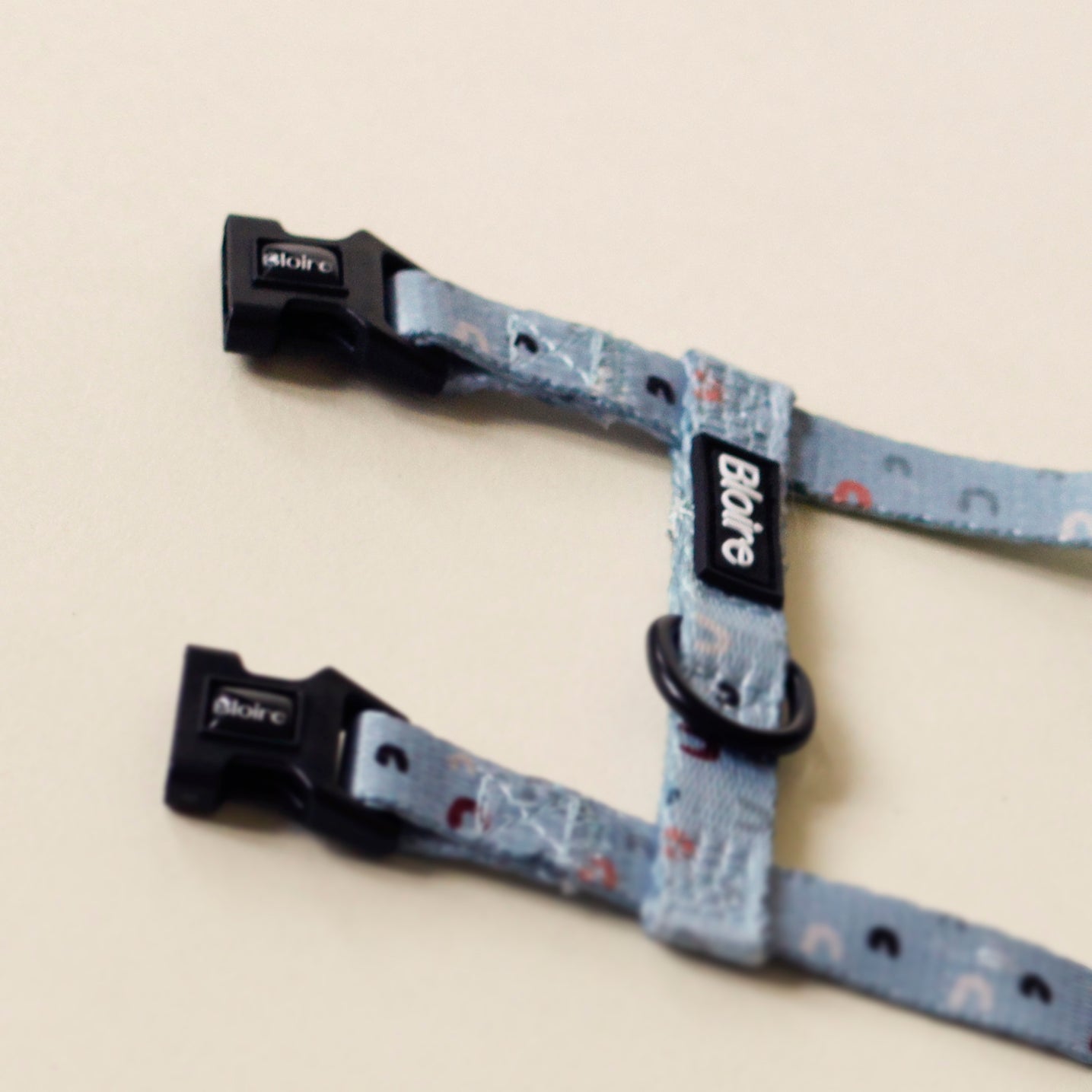 Bloire Harness Walk Kit Blue for Cat