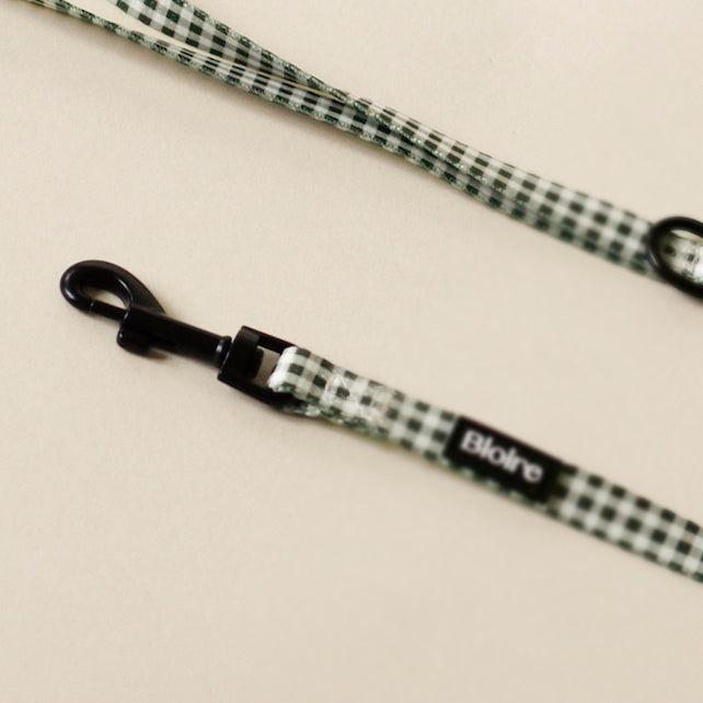 Ensemble de marche pour chat carreau mauve